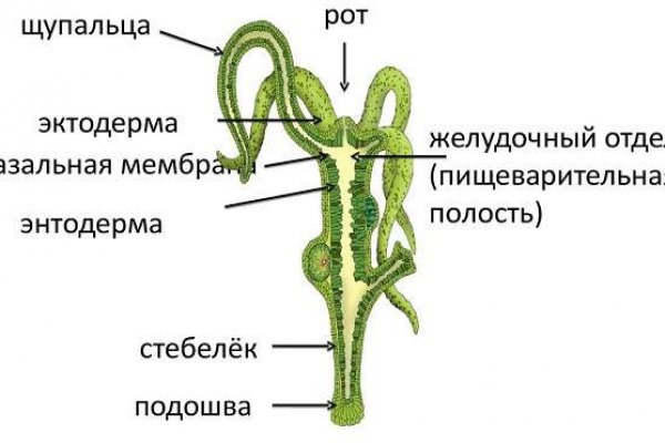 Кракен шоп что это